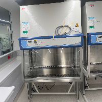 Thermo Safe 2020 5' BioSafety Cabinet image 0